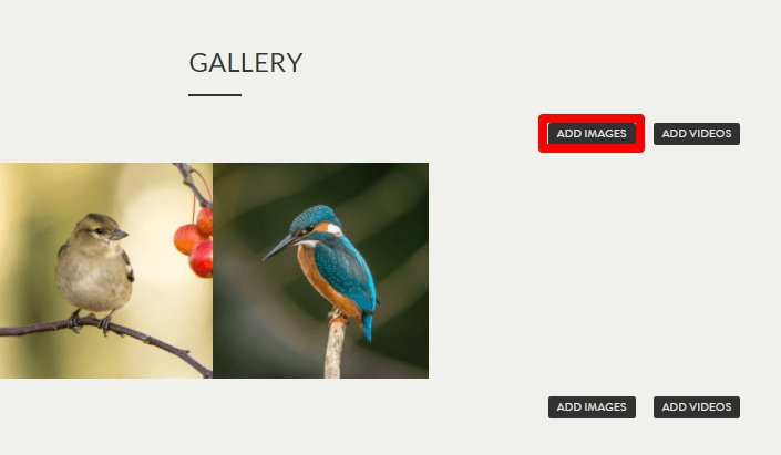 add photos on your website add photos on your website